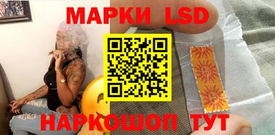 трава Гатчина