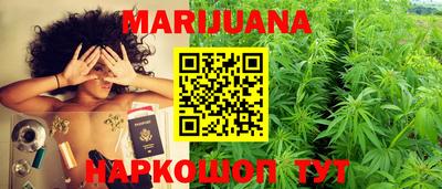 трава Гатчина