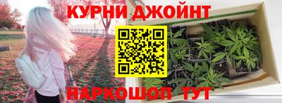 трава Гатчина