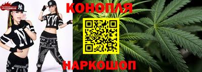 МДПВ Гагарин