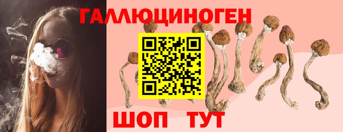Галлюциногенные грибы Cubensis Кумертау